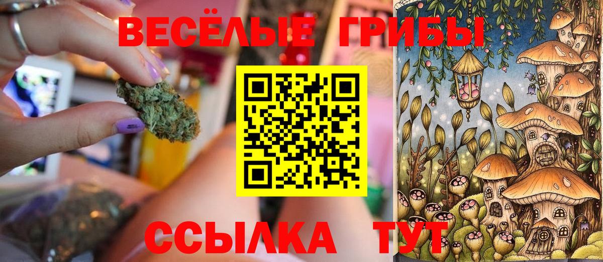 купить закладку  Псилоцибиновые грибы Psilocybe  Вход с VPN  Саратов 